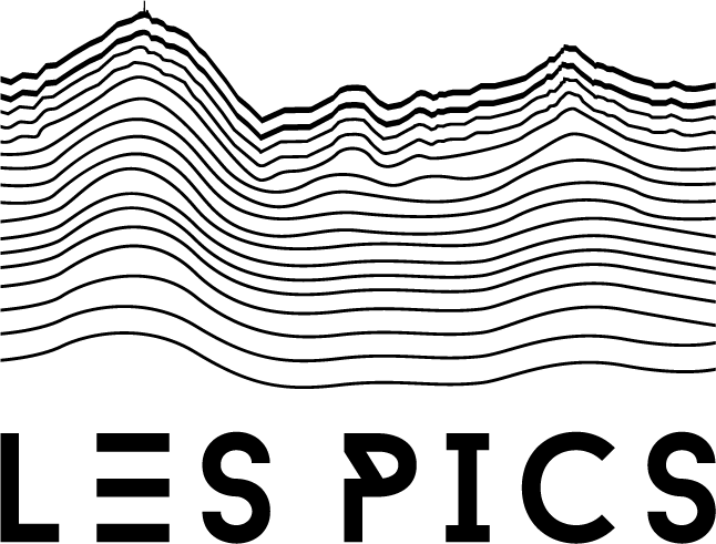 Logo Les Pics - Décoration et design